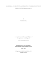 BIOCHEMICAL AND GENETIC CHARACTERIZATION OF RUBBER PRODUCTION IN PRICKLY LETTUCE (Lactuca serriola L.)