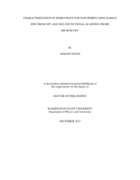 CHARACTERIZATION OF SEMICONDUCTOR NANOWIRES USING RAMAN SPECTROSCOPY AND MULTIFUNCTIONAL SCANNING PROBE MICROSCOPY