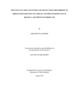 INFLUENCE OF CROP VOLUNTEER AND GRASSY WEED GREENBRIDGE ON RHIZOCTONIA ROOT ROT OF CEREALS AND DISEASE RESISTANCE IN BRASSICA AND TRITICUM GERMPLASM