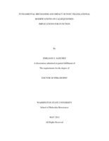 Fundamental Mechanism and Impact of Post Translational Modifications on Calsequestrin: Implications for Function