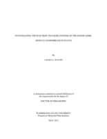 Investigating the Electron Transfer Systems of the Endoplasmic Reticulum Membrane in Plants