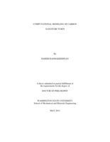 Computational Modeling of Carbon Nanotube Turfs