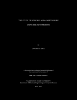 The Study of RF Burns and AMI Exposure Using the FDTD Method