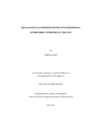 Equalization Algorithms For Two Dimensional Intersymbol Interference Channels