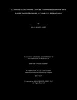 Aluminosilicates for the Capture and Immobilization of High-Halide Wastes From Used Nuclear Fuel Reprocessing