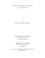 Biochemical and diffusional limitations of C4 photosynthesis
