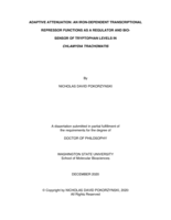 Adaptive attenuation: An iron-dependent transcriptional repressor functions as a regulator and biosensor of tryptophan levels in Chlamydia trachomatis