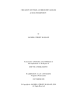 Circadian Rhythms and Brain Metabolism Across the Lifespan