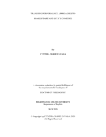 Trans*ing Performance Approaches to Shakespeare and Lyly's Comedies