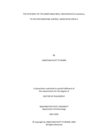 THE EFFICIENCY OF THE GRAPE MEALYBUG, Pseudococcus maritimus, TO VECTOR  GRAPEVINE LEAFROLL ASSOCIATED VIRUS-3