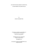 CB1 Receptor Involvement in Contextual Cocaine Memory Reconsolidation