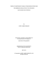 TEMPLATE INDEPENDENT DOUBLE STRAND BREAK REPAIR AND RECOMBINASE MODULATION IN THE ARCHAEON SULFOLOBUS SOLFATARICUS