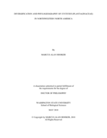 Diversification and Phylogeography of Synthyris (Plantaginaceae) in Northwestern North America