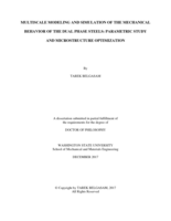 MULTISCALE MODELING AND SIMULATION OF THE MECHANICAL BEHAVIOR OF THE DUAL PHASE STEELS: PARAMETRIC STUDY AND MICROSTRUCTURE OPTIMIZATION