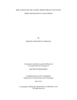 RISK ACROSS THE LIFE COURSE: PREDICTORS OF CONVICTION  FROM ADOLESCENCE TO ADULTHOOD