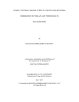 GENES CONTROLLING COLEOPTILE LENGTH AND SEEDLING EMERGENCE IN WHEAT AND THEIR ROLE IN  PLANT HEIGHT