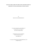 Essays on Child Labor and Agricultural Decision-making in Response to Natural Disasters and Climate Change