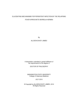 ELUCIDATING MECHANISMS FOR PERSISTENT INFECTION BY THE RELAPSING FEVER SPIROCHETE BORRELIA HERMSII