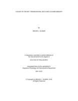 CAUGHT IN THE NET: PERINEURONAL NETS  AND COCAINE MEMORY