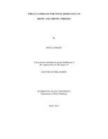 WHEAT LANDRACES FOR NOVEL RESISTANCE TO  BIOTIC AND ABIOTIC STRESSES