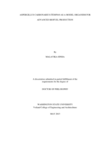 ASPERGILLUS CARBONARIUS ITEM5010 AS A MODEL ORGANISM FOR ADVANCED BIOFUEL PRODUCTION