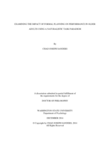 Examining the Impact of Formal Planning on Performance in Older Adults using a Naturalistic Task Paradigm