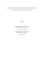 GENOMIC CHARACTERIZATION AND MOLECULAR INVESTIGATIONS INTO NEGATIVE-STRANDED RNA VIRUSES OF PLANTS