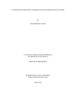 INVESTIGATING RETINOIC ACID REGULATION IN THE POSTNATAL TESTIS