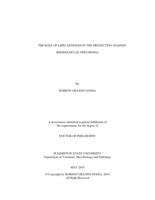 THE ROLE OF LIPID ANTIGENS IN THE PROTECTION AGAINST RHODOCOCCAL PNEUMONIA