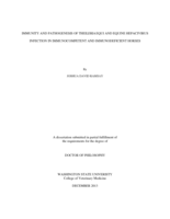 IMMUNITY AND PATHOGENESIS OF THEILERIA EQUI AND EQUINE HEPACIVIRUS INFECTION IN IMMUNOCOMPETENT AND IMMUNODEFICIENT HORSES