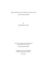 CHARACTERIZATION OF ENZYMES INVOLVED IN FLAVIN COFACTOR METABOLISM