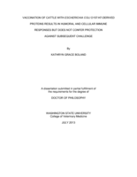Vaccination of cattle with Escherichia coli O157:H7-derived proteins results in humoral and cellular immune responses but does not confer protection against subsequent challenge