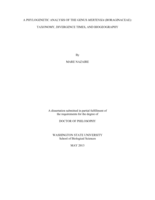 A phylogenetic analysis of the genus Mertensia (Boraginaceae): Taxonomy, divergence times, and biogeography
