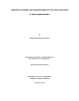 Comparative genomics and transcriptomics of trait gene association of Anaplasma marginale