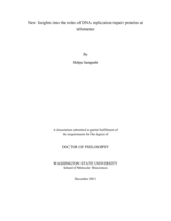 New Insights into the roles of DNA replication/repair proteins at telomeres