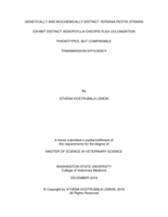 Genetically and biochemically distinct Yersinia pestis strains exhibit distinct Xenopsylla cheopis flea colonization phenotypes, but comparable transmission efficiency