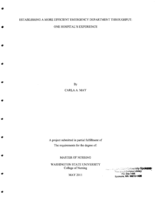 Establishing a More Efficient Emergency Department Throughput: One Hospital's Experience