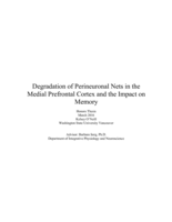 Degradation of Perineuronal Nets in the Medial Prefrontal Cortex and the Impact on Memory