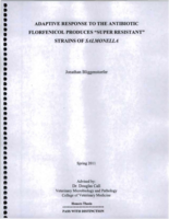 Adaptive response to the antibiotic florfenicol produces "super resistant" strains of salmonella