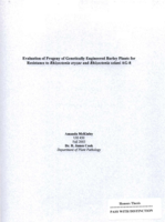 Evaluation of progeny of genetically engineered barley plants for resistance to rhizoctonia oryzae and rhizoctonia solani AG-8
