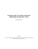 Emerging Adults’ Perceptions of Romantic Relationships through Music Videos