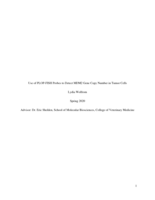 Use of PLOP-FISH Probes to Detect MDM2 Gene Copy Number in Tumor Cells