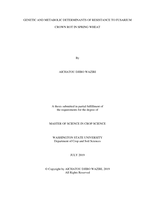 Genetic and metabolic determinants of resistance to fusarium crown rot in spring wheat