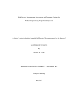 Risk Factors, Screening and Assessment, and Treatment Options for Mothers Experiencing Postpartum Depression