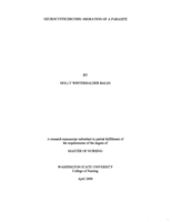 Neurocysticercosis: Migration of a Parasite