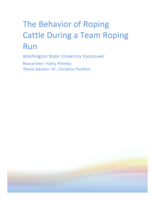 The Behavior of Roping Cattle During a Team Roping Run