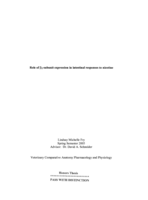 Role of beta2-subunit expression in intestinal responses to nicotine