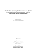Glial derived neurotrophic factor promotes ovarian primordial follicle development and cell-cell interactions during folliculogenesis