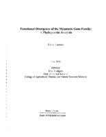 Functional divergence of the myostatin gene family: A phylogenetic analysis