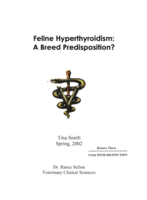Feline hyperthyroidism: A breed predisposition?